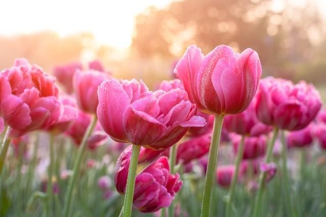 检查自己的快手帐号，以及别人是否登录过