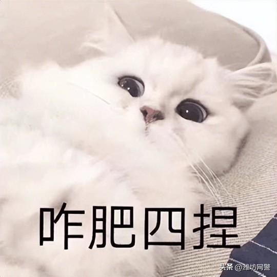 什么是“引流”？为什么潜移默化地“偷”我的钱？！