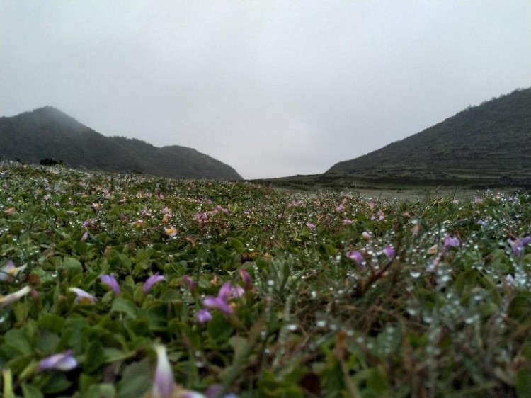 抖音快手要养号，闲鱼怎么养号？