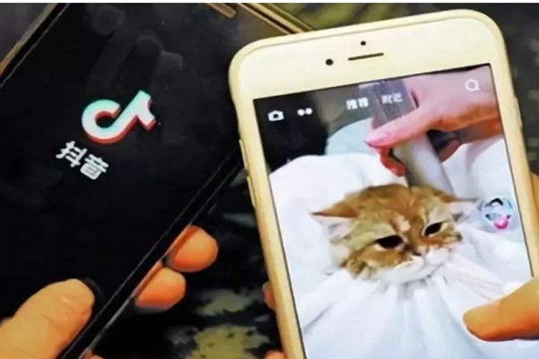 抖音一个手机号可以绑定几个？