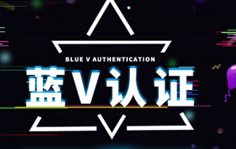 蓝V是什么