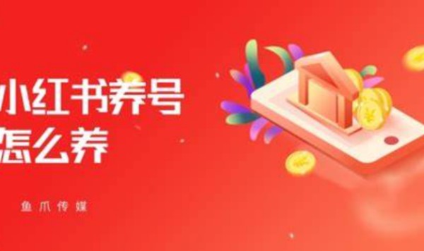 小红书养号技巧