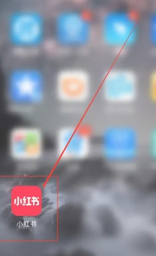 怎样知道别*的小红书号*？